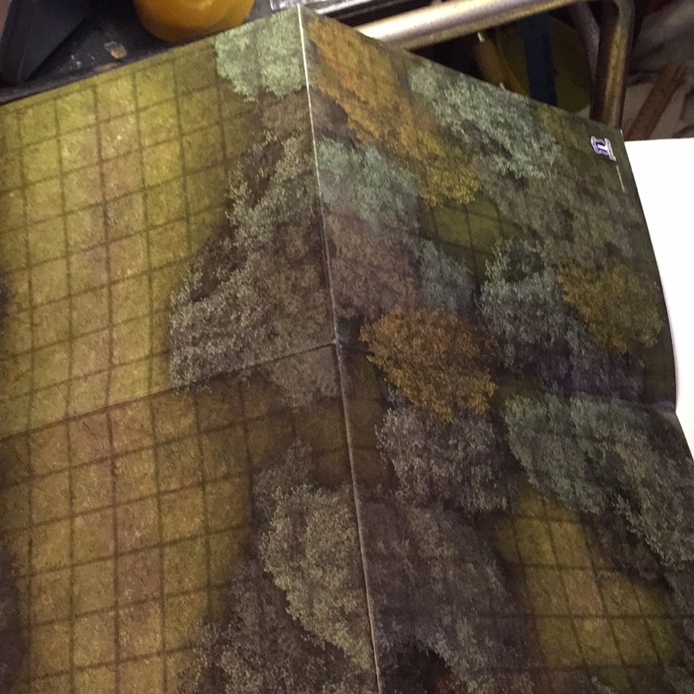 Pathfinder flip-mat classics - Picture 4 of 14